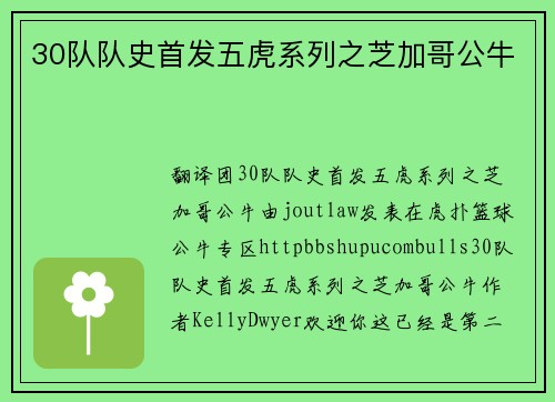 30队队史首发五虎系列之芝加哥公牛